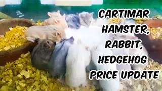 CARTIMAR PET SHOP PRICE UPDATE | RABBIT HAMSTER HEDGEHOG