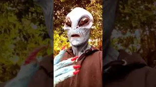 Alien Saves Helpless Earth Animal from Mortal Peril! #alien #rescue #dog