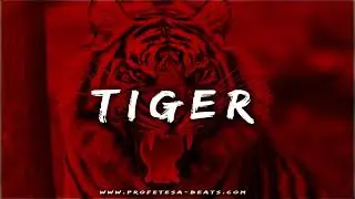 Aggressive Fast Flow Trap Rap Beat Instrumental ''TIGER'' Hard Angry Indian Sample Type Hype Trap