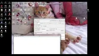 How to Use Brutus A2 *2013* (hack any password)