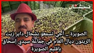الصويرة .. أجي تسمعو بشحال داير زيت الزيتون ديال العام في جماعة سيدي إسحاق بإقليم الصويرة