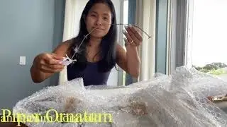 Plants Unboxing from Indonesia | 2 months after | Philodendron, Monstera Peru Var. Emplissimum, more