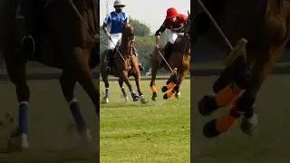 Polo in Lahore #horse #polo #sports #uk #usa #dubai #argentina #shorts #youtubeshorts