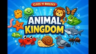 Animal Kingdom Explained Simply 🤯 | Class 11 Biology | NCERT