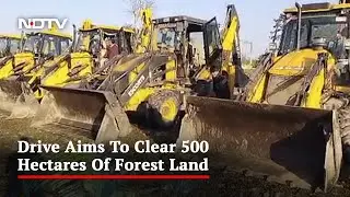 Bulldozers In Action As Eviction Drive Begins In Assam Reserve Forest