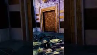 Tortoises Actually Sprinting