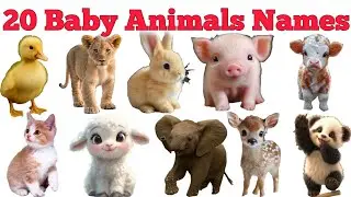 Learn 20 Baby Animals Names In English & Hindi With Fun Facts | Fun Learning For Children