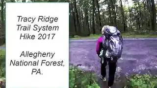 Hiking the Allegheny National Forest on the Tracy Ridge Trail System