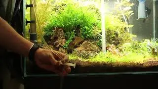 Dennerle mulmsauger