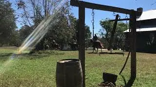 The Warrant - Ed Dabney Gentle Horsemanship