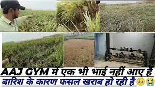  gym me ek bhi log नहीं आए है 🥺 हम अकेले ही आए हैं  gym में 🙂 बारिश के कारण फसल खराब हो रही है 😭