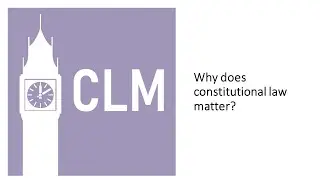 Q&A: Why does constitutional law matter?