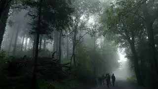 cemeteries - empty camps (slowed and reverbed)