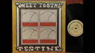 Sweet Toothe - Music's Gotta Stay [1976 Private Press Fuzz Rock, Bluefield West Virginia]