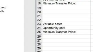 Transfer Pricing - Basic Problems 1-5