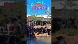 Knott&rsquo;s Summer Nights time! #shorts #knottsberryfarm #summervibes