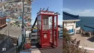 🌊 연말마다 가는 묵호 여행! / 2박 3일 🥹