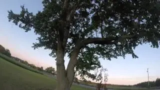 Cobra 2206 2100kv Blackout mini test and tune