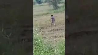 Super Standard 🌾 combine harvester 🌾