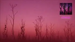 Dave Bessell - The Silver Thread | Chill Space