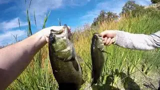 November Pond Bass Fishing in San Jose, California.