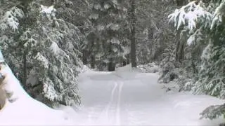 Culinary Travels: Canadian Winter Wonderland