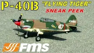 FMS / DIAMOND HOBBY P-40 