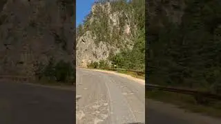 Rhodope  🌲🌳 #discoverbulgaria
