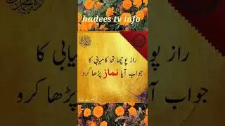 Golden Words Best Quotes|Urdu Quotes Khubsurat Alfaaz Best Poetry