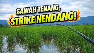 Pari Klelep yang Nendang‼️Mancing di Rawa Pening
