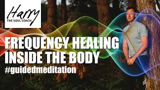 FREQUENCY HEALING INSIDE THE BODY MEDITATION - #harrythesoulcoach #guidedmeditation