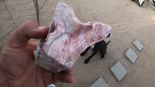 THE SAFEST & HEALTHIEST LONG LASTING BEEF MARROW BONE FOR DOGS.