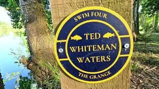 TEDWHITE MAN 2