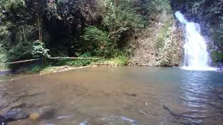 Soothing sounda of nature, cleae green forest river, brids chirping