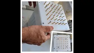 Formadora AlimentosRapidos
