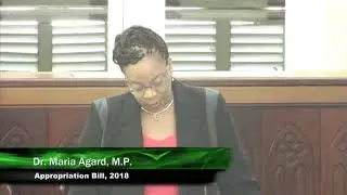 The South Coast Sewage Issue