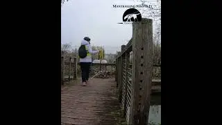 gauche droite....c'est &agrave; droite :) #cocker  #mantrailing   