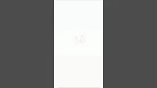 Pokemon Go 5km Egg Hatch
