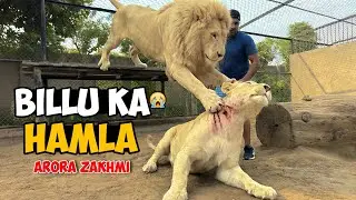 Billu Ne Arora Par Hamla Kar Diya 😱 | Arora Zakhmi Ho Gayi | Real Fight Vlog