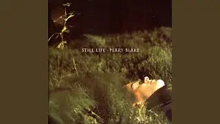 Still Lives