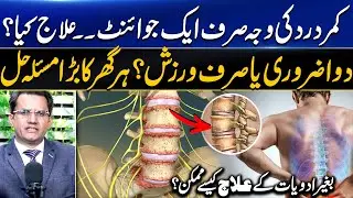 Back Pain Main Reason 