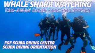 SCUBA DIVING ORIENTATION I WHALE SHARK WATCHING I TAN-AWAN OSLOB, CEBU PHILIPPINES