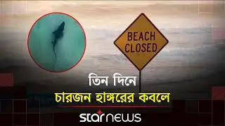 অস্ট্রেলিয়ার সৈকতে হাঙ্গরের উৎপাত | Australia | Sharkattack | Beach | Star News
