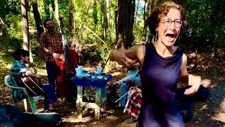 Monkey in the Dog Cart (BuckDance) - Moonshine & The Yellow Dandies in the Woods