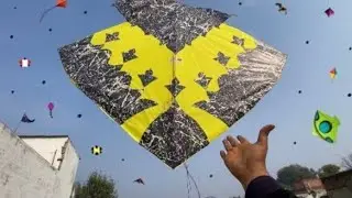 Kite looting 🪁video ll Cought kite ll Kite Vlog ll #kite 