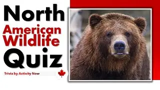 North American Wildlife Trivia | Quiz