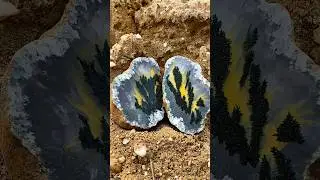 Hidden World Inside a Stone | Epic Stone Hunt#StoneHunt #Nature #HiddenWorld #USA #Oman