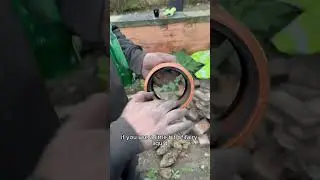 Destroying my Garden to Fix Damp Issues | Renovating The Constabulary
