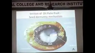 Indian medicinal plants diversity