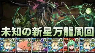 【未知の新星 永刻の万龍】バレンタインノアで周回【パズドラ】